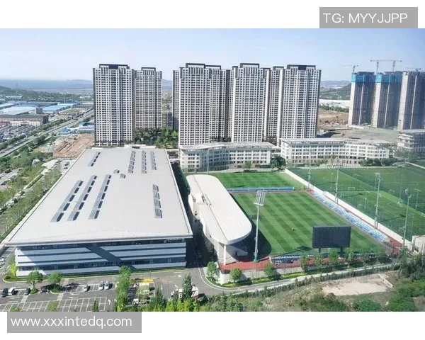 南京足球队运营全景解析:从管理模式到市场策略的深度剖析 南京足球队运营全景解析:从管理模式到市场策略的深度剖析